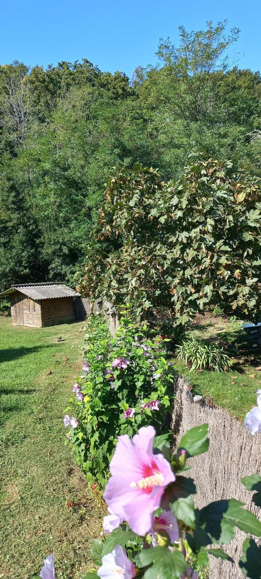 La Casa Bed&Breakfast Entree Independante 26M2 Calme Proche De Tout Wifi Parking Prive Jardin Terrasse Urrugne Εξωτερικό φωτογραφία